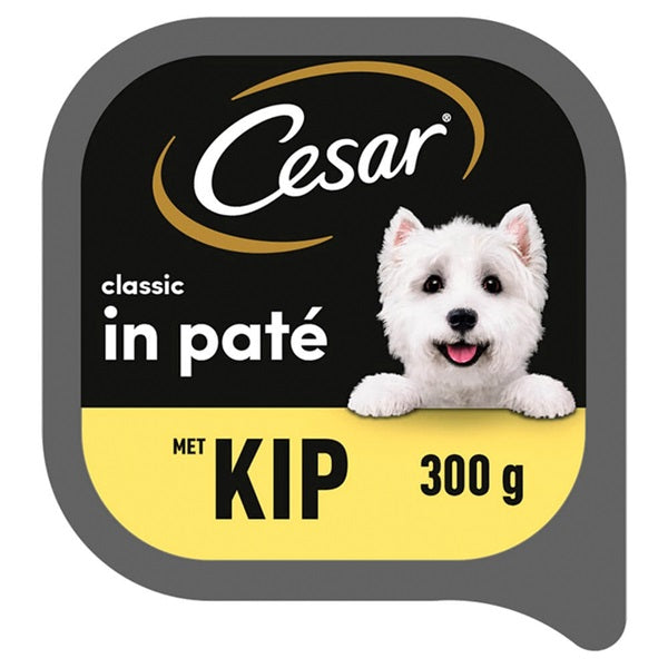 Cesar classic in paté hondenvoer kip